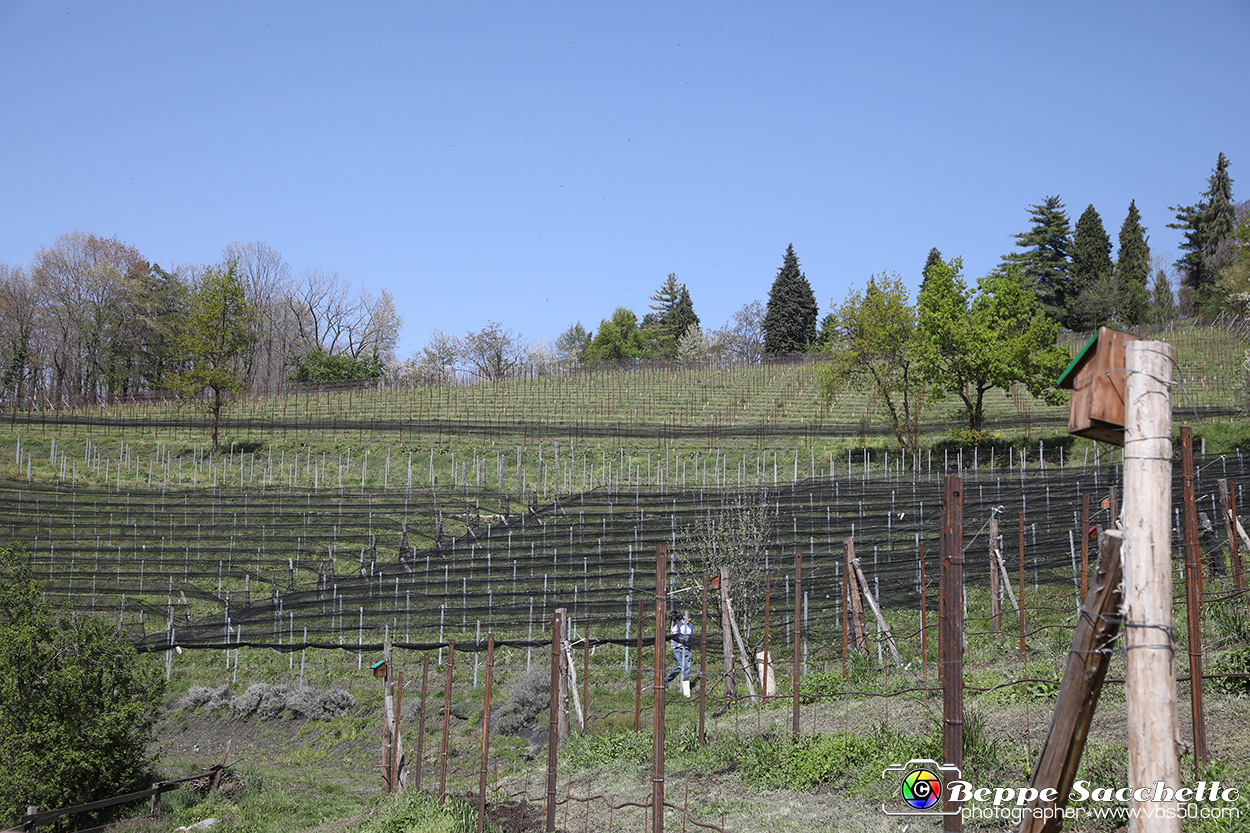 VBS_7400 - PressTour educational dedicato ai vini del Pinerolese e all’olio prodotto sulla collina di Pinerolo.jpg